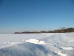 IMG_20070210_0152.jpg