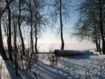 IMG_20070210_0158.jpg