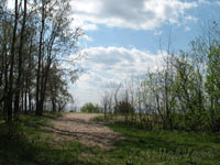 ,  2007 .  ,    .