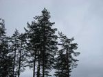 IMG_7181.jpg