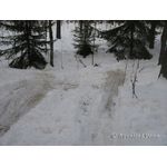 IMG_8260.jpg