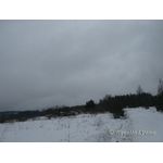 IMG_8744.jpg