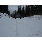 IMG_8790.jpg