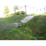 IMG_6810.jpg