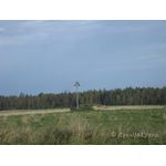 IMG_6865.jpg