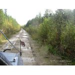 IMG_6906.jpg