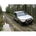 IMG_6928.jpg