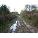 IMG_6968.jpg
