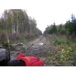 IMG_7005.jpg