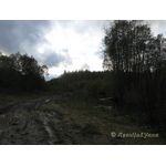 IMG_7006.jpg