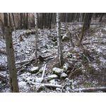 IMG_8412.jpg