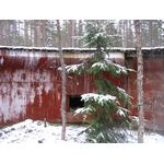 IMG_8516.jpg