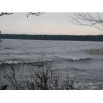 IMG_8686.jpg