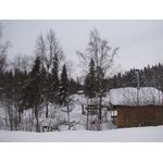IMG_3650.jpg
