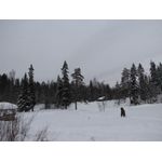 IMG_3651.jpg