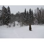 IMG_3652.jpg