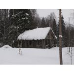 IMG_3654.jpg