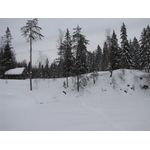IMG_3655.jpg