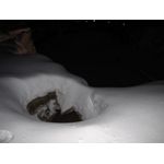 IMG_3678.jpg