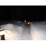 IMG_3684.jpg