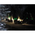 IMG_3692.jpg
