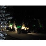 IMG_3694.jpg