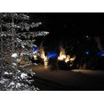 IMG_3695.jpg