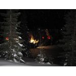 IMG_3698.jpg