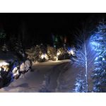 IMG_3703.jpg