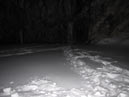 IMG_3713.jpg