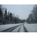 IMG_0027.jpg