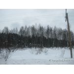 IMG_0066.jpg