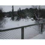 IMG_0104.jpg
