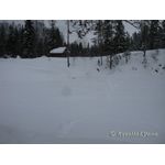 IMG_0105.jpg