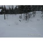 IMG_0107.jpg