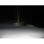 IMG_0177.jpg