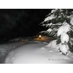 IMG_0188.jpg