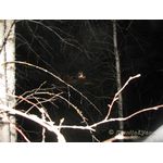 IMG_0193.jpg
