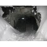 IMG_0206.jpg