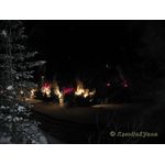 IMG_0234.jpg