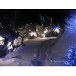 IMG_0261.jpg