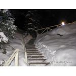 IMG_0293.jpg