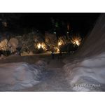 IMG_0294.jpg