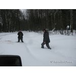 IMG_0428.jpg