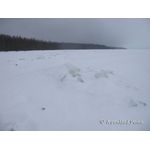 IMG_0643.jpg