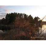 IMG_3186.jpg