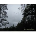 IMG_3957.jpg