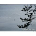 IMG_6363.jpg