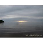 IMG_6371.jpg