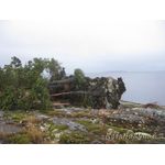 IMG_1705.jpg